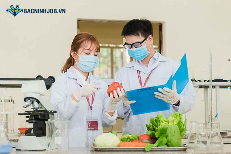 Các vị trí tuyển dụng công nghệ thực phẩm phổ biến nhất tại Bắc Ninh